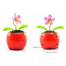 Spy Flower Pot Camera In Delhi